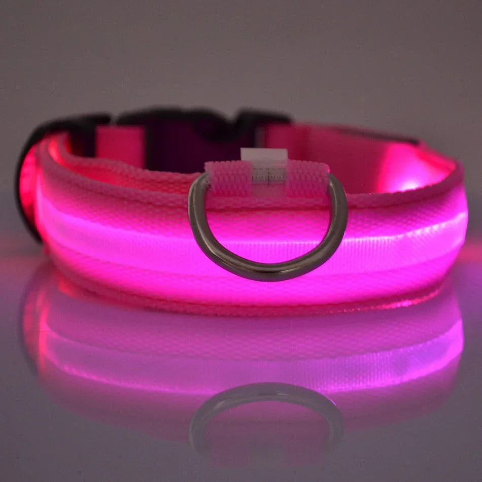 LED NightGlow Dog Collar