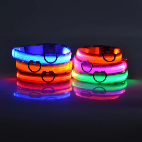 LED NightGlow Dog Collar