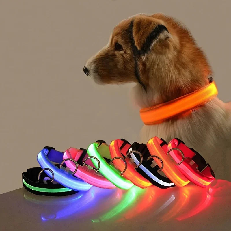 LED NightGlow Dog Collar