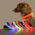 LED NightGlow Dog Collar